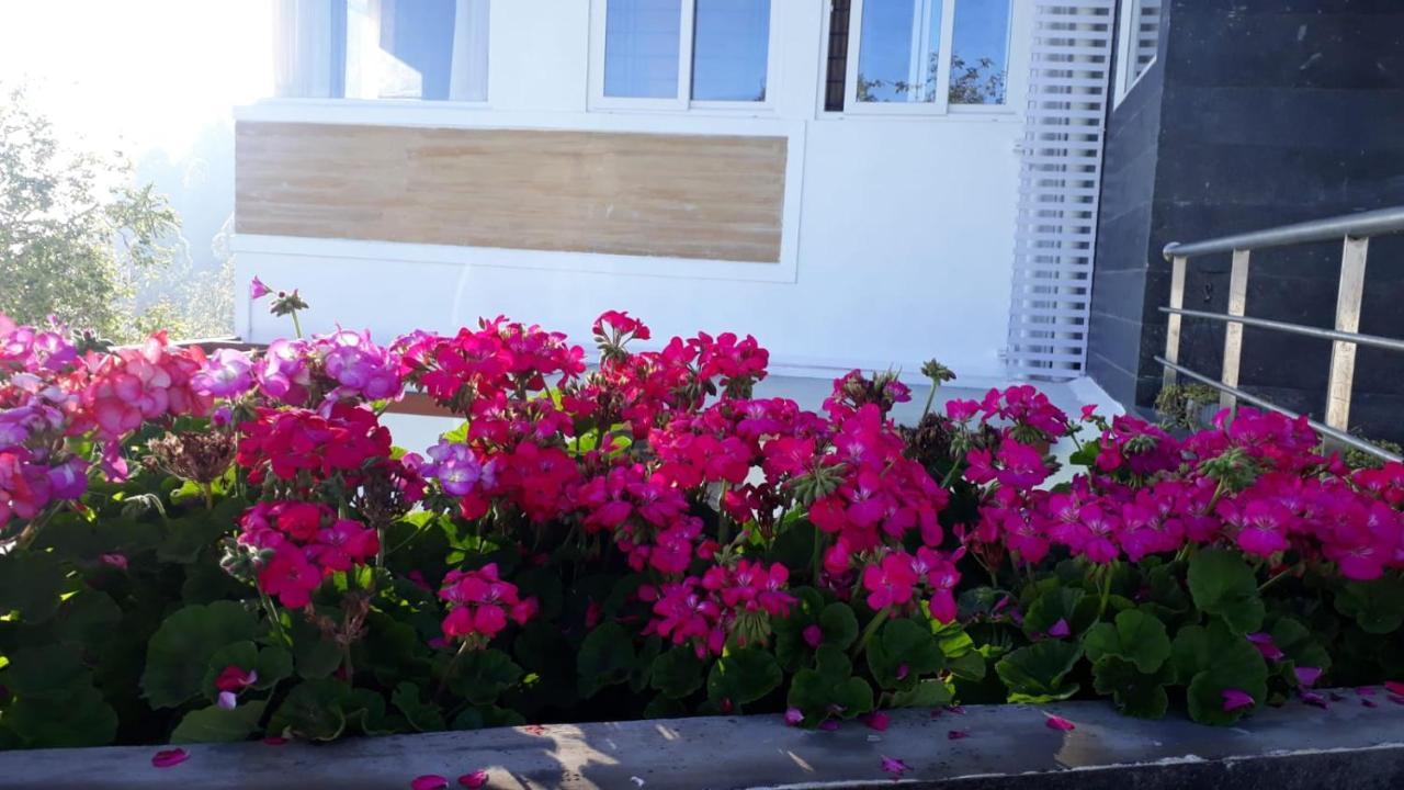 Salora Kodai Kodaikanal Exteriör bild