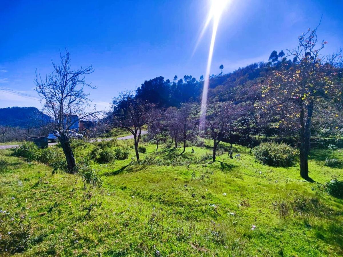 Salora Kodai Kodaikanal Exteriör bild