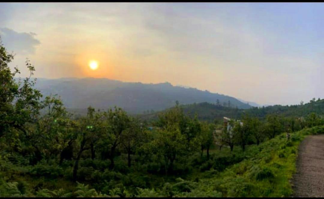 Salora Kodai Kodaikanal Exteriör bild